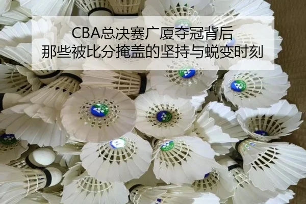 CBA总决赛广厦夺冠背后 那些被比分掩盖的坚持与蜕变时刻